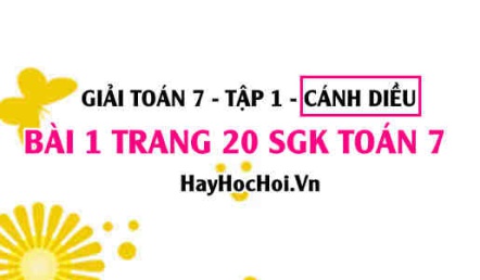 Giải bài 1 trang 20 Toán 7 Tập 1 SGK Cánh Diều